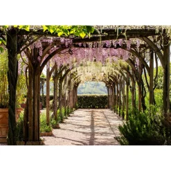 Palazzo di Varignana - Spa Romance | Ars Vivendi - 2 Days 1 Night - Crystal Pool - Varsana SPA - Italy - Exclusive Luxury - Avvenice