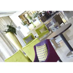 Pisa Tower Plaza - Exclusive Pisa - Pisa Tower View - 5 Stars - 3 Days 2 Nights - Avvenice