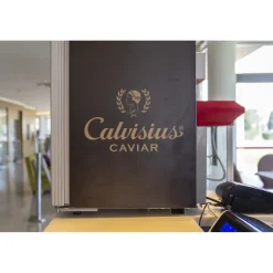 Pisa Tower Plaza - Exclusive Pisa - Pisa Tower View - 5 Stars - 4 Days 3 Nights - Avvenice