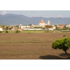 Pisa Tower Plaza - Exclusive Pisa - Pisa Tower View - 5 Stars - 4 Days 3 Nights - Avvenice