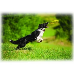 Polaroid - Polaroid Cube+ Live Streaming Wi-Fi Mini Lifestyle Action Camera - Full HD 1440p - Action Sports Cameras - Black - Avvenice