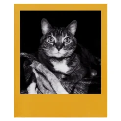 Polaroid Originals - B&W Film for 600 - Color Frame - Film for Polaroid Originals 600 Cameras - OneStep 2 - Avvenice