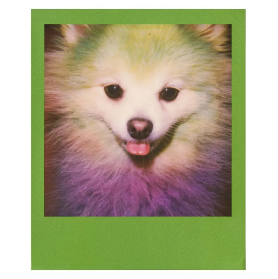 Polaroid Originals - Color Film for 600 - Color Frame - Film for Polaroid Originals 600 Cameras - OneStep 2 - Avvenice