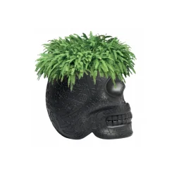 Qeeboo - Mexico Planter and Champagne Cooler - Black - Qeeboo by Studio Job - Furniture - Home - Avvenice