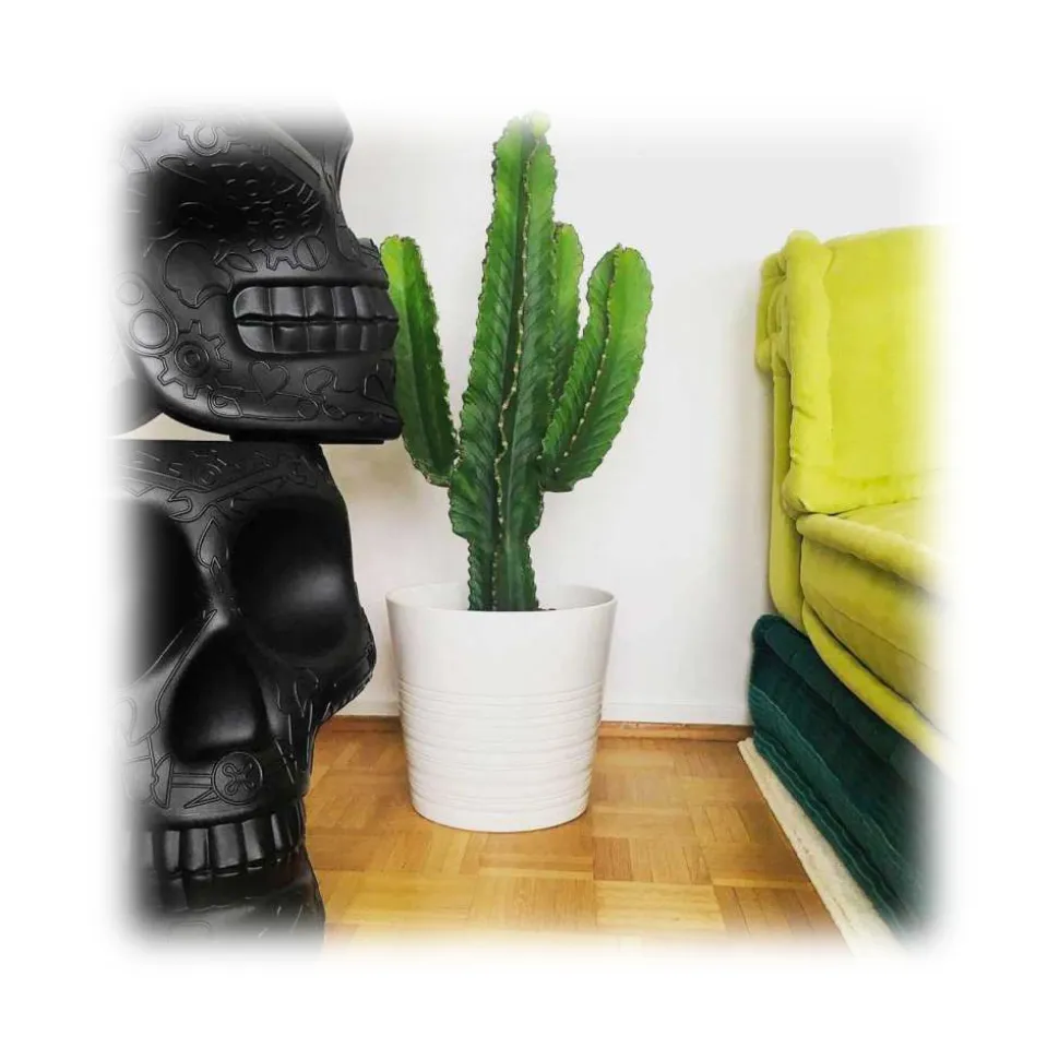 Qeeboo - Mexico Planter and Champagne Cooler - Balsam Green - Qeeboo Planter by Studio Job - Furnishing - Home - Avvenice