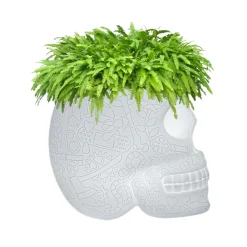 Qeeboo - Mexico Planter and Champagne Cooler Lamp with Rechargeable Led - Translucent - Qeeboo Planter by Studio Job - Avvenice