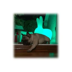 Qeeboo - Rabbit Rechargeable Lamp - White - Qeeboo Free Standing Lamp by Stefano Giovannoni - Lighting - Home - Avvenice