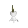 Qeeboo - Turtle Carry XS Planter - White - Qeeboo Planter by Marcantonio - Furnishing - Home - Avvenice