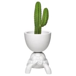 Qeeboo - White - Qeeboo Planter and Champagne Cooler by Marcantonio - Furnishing - Home - Avvenice