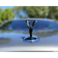 Rent Luxe Car - Rolls-Royce Dawn - Exclusive Luxury Rent - Avvenice