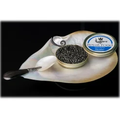Royal Food Caviar - Reale - Oscetra Caviar - Russian Sturgeon - 100 g - Avvenice