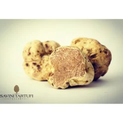Savini Tartufi - Truffle Discovery - Truffle Experience - Guided Tour, Truffle Hunt and Tasting - Daily - Avvenice