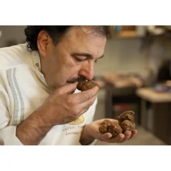 Savini Tartufi - Truffle Discovery - Truffle Experience - Guided Tour, Truffle Hunt and Tasting - Daily - Avvenice