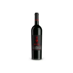 Scuderia Italia - Chianti Riserva D.O.C.G. - 2010 - Italy - Red Wines - Luxury Limited Edition - Avvenice