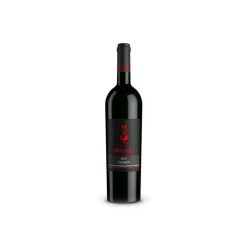 Scuderia Italia - Chianti D.O.C.G. - 2015 - Italy - Red Wines - Luxury Limited Edition - Avvenice