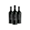 Scuderia Italia - Pack of 3 Collectible Bottles  - Italy - Red Wines - Luxury Limited Edition - Avvenice