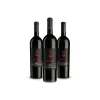 Scuderia Italia - Pack of 3 Bottles of Red Wines  - Italy - Red Wines - Luxury Limited Edition - Avvenice