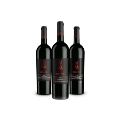 Scuderia Italia - Pack of 3 Bottles of Red Wines  - Italy - Red Wines - Luxury Limited Edition - Avvenice