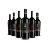 Scuderia Italia - Pack of 6 Valpolicella Bottles - Italy - Red Wines - Luxury Limited Edition - Avvenice