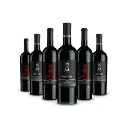 Scuderia Italia - Pack of 6 Valpolicella Bottles - Italy - Red Wines - Luxury Limited Edition - Avvenice