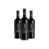 Scuderia Italia - Pack of 3 Cuvée Bottles - Italy - Red Wines - Luxury Limited Edition - Avvenice