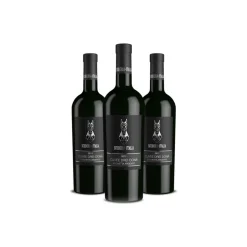Scuderia Italia - Pack of 3 Cuvée Bottles - Italy - Red Wines - Luxury Limited Edition - Avvenice