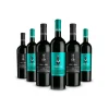 Scuderia Italia - Pack of 6 Mixed Bottles - Italy - Red Wines - Luxury Limited Edition - Avvenice