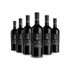 Scuderia Italia - Pack of 6 Collectible Bottles - Italy - Red Wines - Luxury Limited Edition - Avvenice