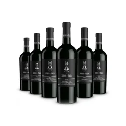Scuderia Italia - Pack of 6 Collectible Bottles - Italy - Red Wines - Luxury Limited Edition - Avvenice
