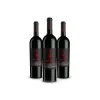 Scuderia Italia - Pack of 3 Chianti Riserva D.O.C.G. Bottles  - Italy - Red Wines - Luxury Limited Edition - Avvenice