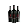 Scuderia Italia - Pack of 3 Valpolicella Ripasso Superiore D.O.C. Bottles  - Italy - Red Wines - Luxury Limited Edition - Avvenice