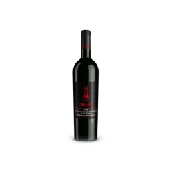 Scuderia Italia - Valpolicella Ripasso Superiore D.O.C. - 2016 - Italy - Red Wines - Luxury Limited Edition - Avvenice