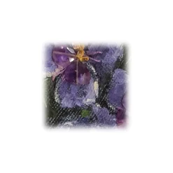 Sofia Provera - Ametista - Jeans - Luxury Exclusive Collection - Haute Couture Made in Italy - Luxury High Quality Dress - Avvenice