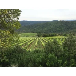 Tenuta l'Impostino - Maremma - 4 Days 3 Nights - Avvenice