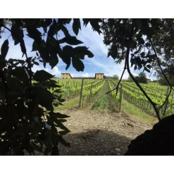 Tenuta l'Impostino - Maremma - 3 Days 2 Nights - Avvenice