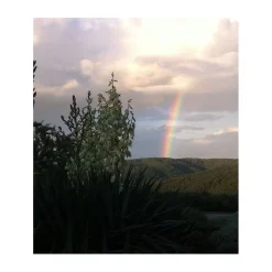 Tenuta l'Impostino - Maremma - 3 Days 2 Nights - Avvenice