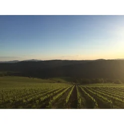 Tenuta l'Impostino - Taste and Tradition - 4 Days 3 Nights - Avvenice