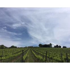 Tenuta l'Impostino - Taste and Tradition - 3 Days 2 Nights - Avvenice