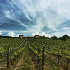 Tenuta l'Impostino - Wine Lover - 3 Days 2 Nights - Avvenice