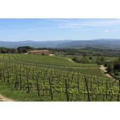 Tenuta l'Impostino - Wine Lover - 3 Days 2 Nights - Avvenice