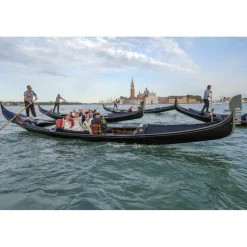 The Venice Debutant Grand Ball - Platinum Ticket - Venice - Grand Ball - Teatro La Fenice - Exclusive Luxury Event - Avvenice