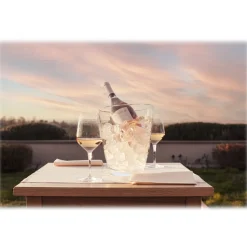 Umberto Cesari - Costa di Rose - Sangiovese - Italian Rosé - Luxury Limited Edition - 750 ml - Avvenice