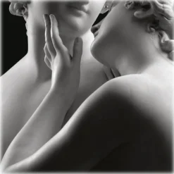 Villa Sandi - Brut - Opere Trevigiane - Mathusalem - Wooden Box - Quality Sparkling Wine Brut - Prosecco & Sparking Wines - Avvenice