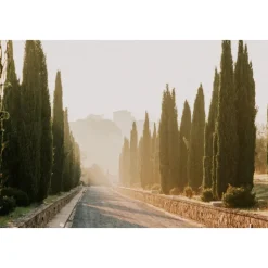 Villa Tolomei - Royal Suite - 4 Days 3 Nights - Exclusive Luxury - Florence - Tuscany - Italy - Avvenice