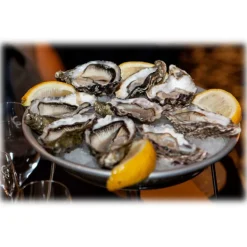 Wilde Wadoesters - Wild Oysters - 100 - Handpicked on the Wadden Sea - UNESCO World Heritage Site - Avvenice