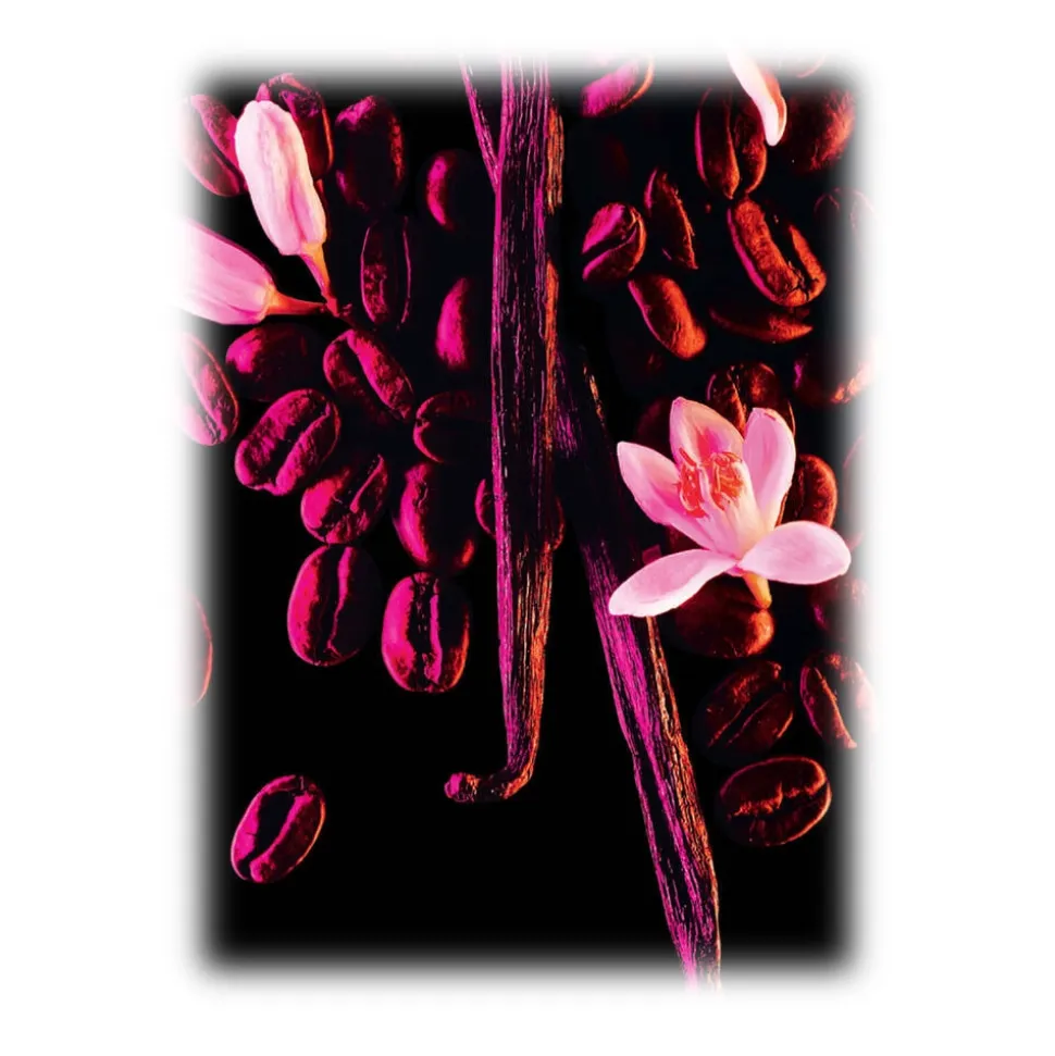 Yves Saint Laurent - Black Opium Eau De Parfum - An Addictive Black Coffee, White Florals and Vanilla - Luxury - 20 ml - Avvenice