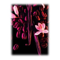 Yves Saint Laurent - Black Opium Eau De Parfum - An Addictive Black Coffee, White Florals and Vanilla - Luxury - 90 ml - Avvenice