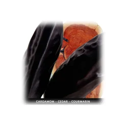 Yves Saint Laurent - La Nuit De L’Homme Eau De Toilette Spray - A Woody Fragrance with Cardomom, Iris, & Tonka Bean - 100 ml - Avvenice