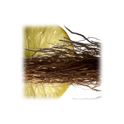 Yves Saint Laurent - L’Homme Eau De Toilette Spray - Woody Elegance, Masculine Notes and an Ambery Signature - Luxury - 100 ml - Avvenice