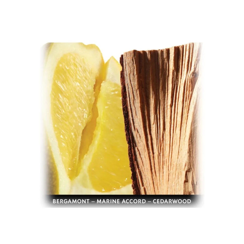 Yves Saint Laurent - L’HOMME Cologne Bleue Eau De Toilette - with Bergamot, Marine Accord, & Cedarwood - 100 ml - Avvenice